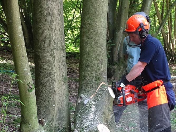 Business listing image