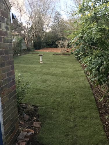 Business listing image