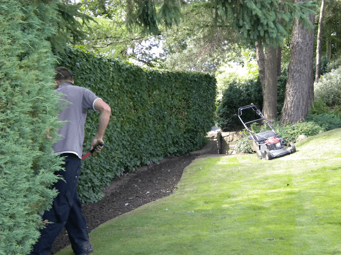 Business listing image