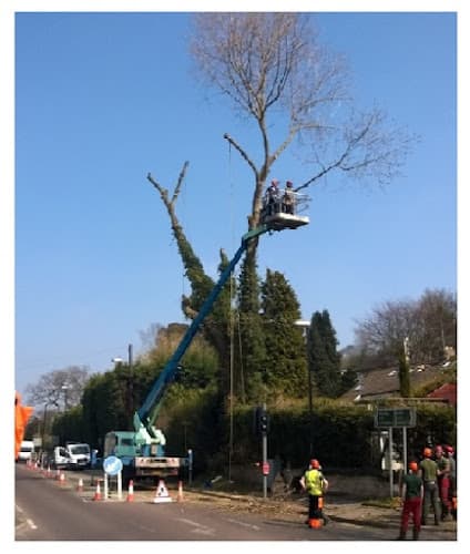 Business listing image