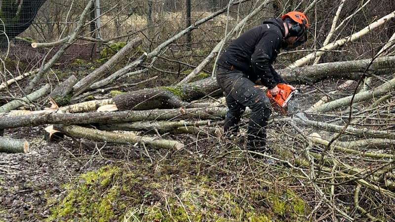 Business listing image