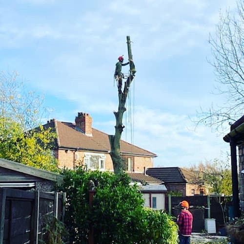 Business listing image