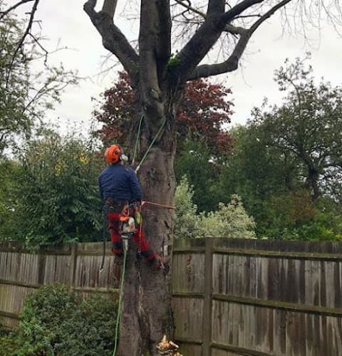 Business listing image