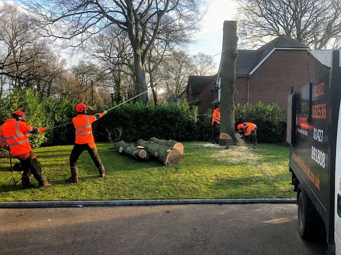 Business listing image