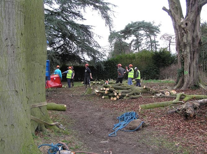 Business listing image