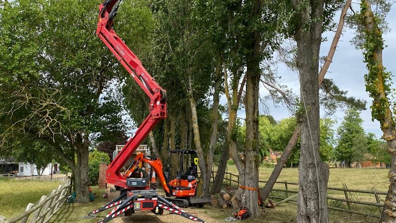 Business listing image