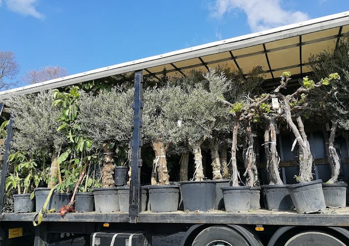 Business listing image