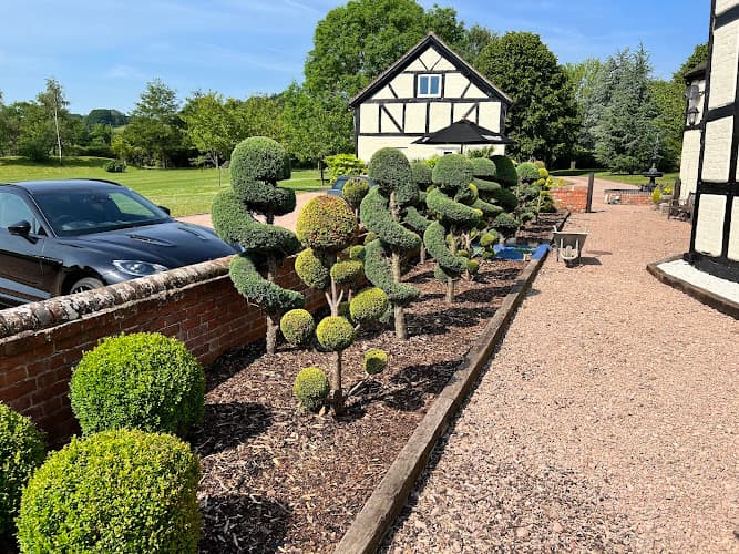 Business listing image