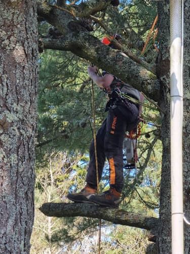 Business listing image