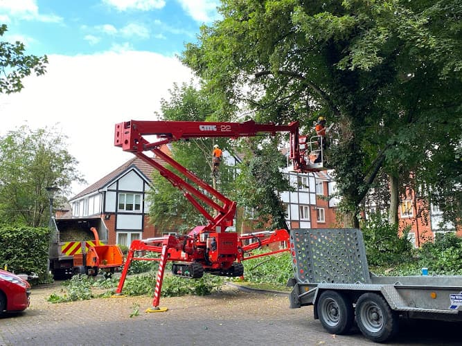 Business listing image