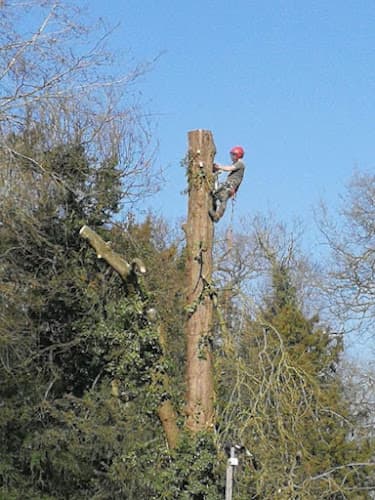 Business listing image