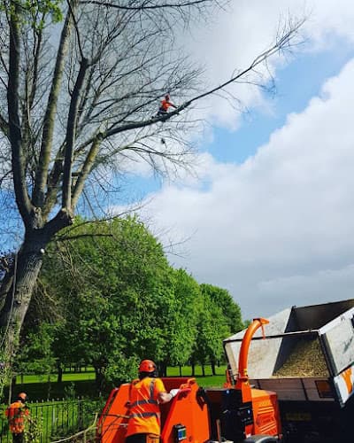 Business listing image