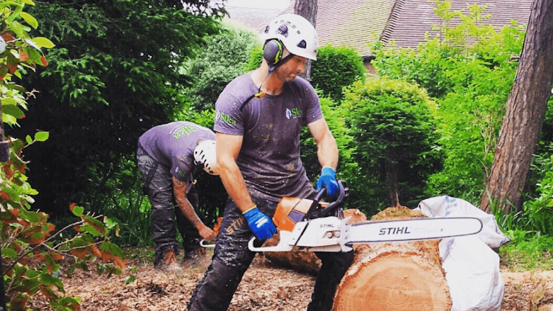 Business listing image