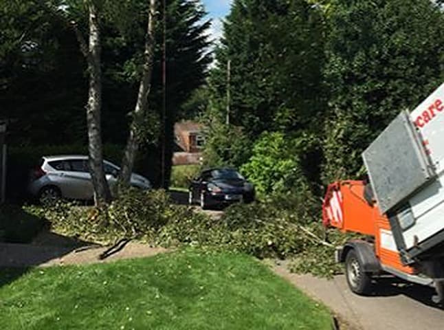 Business listing image