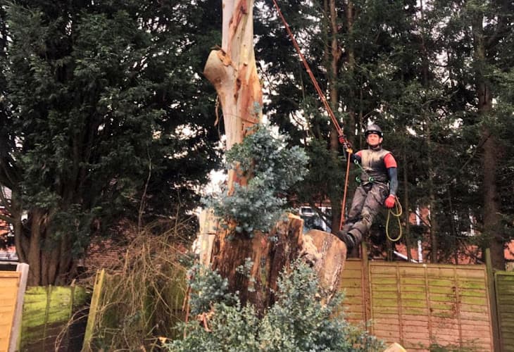 Business listing image