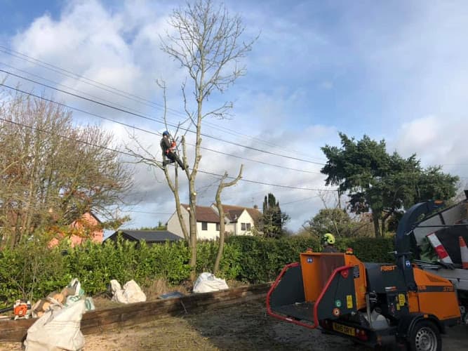 Business listing image