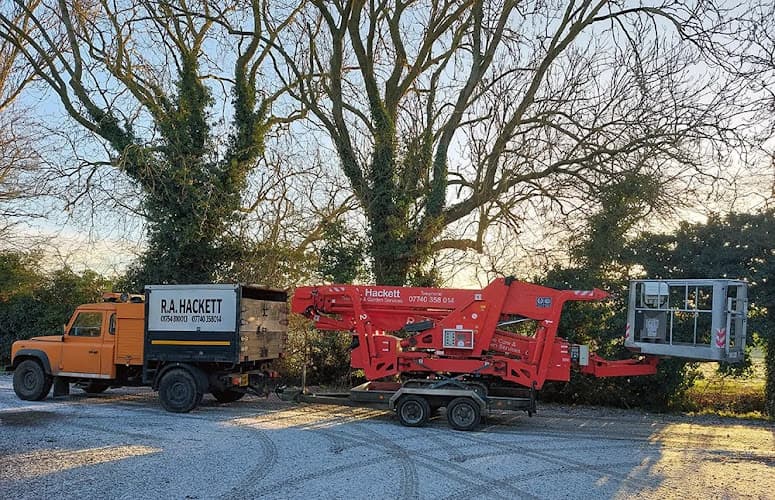 Business listing image