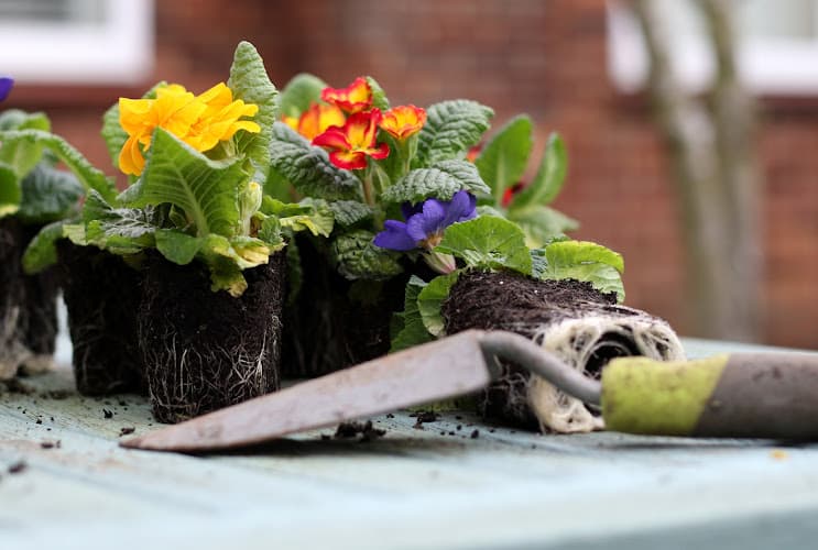 Business listing image