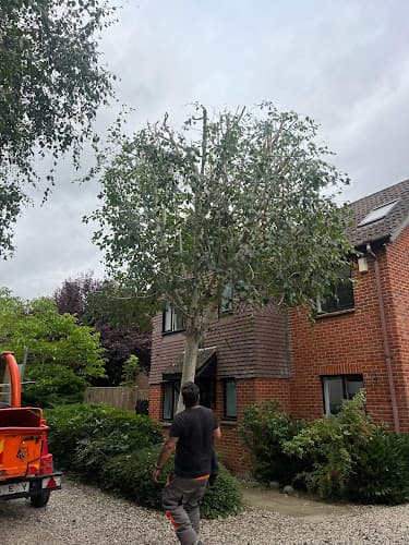 Business listing image