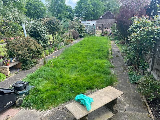 Business listing image