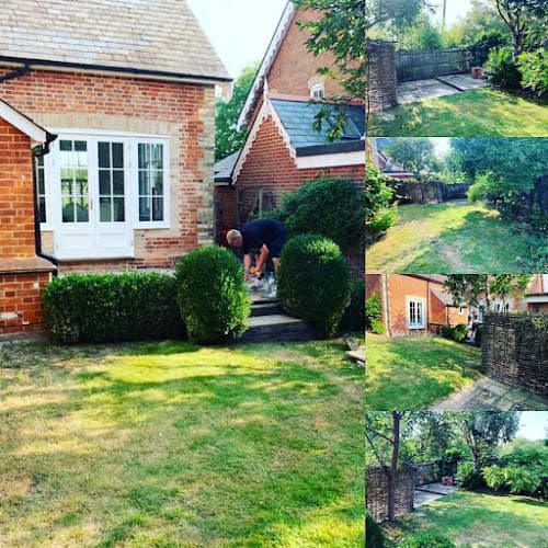 Business listing image