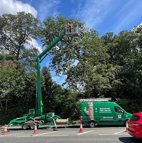 Business listing image