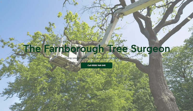 Business listing image