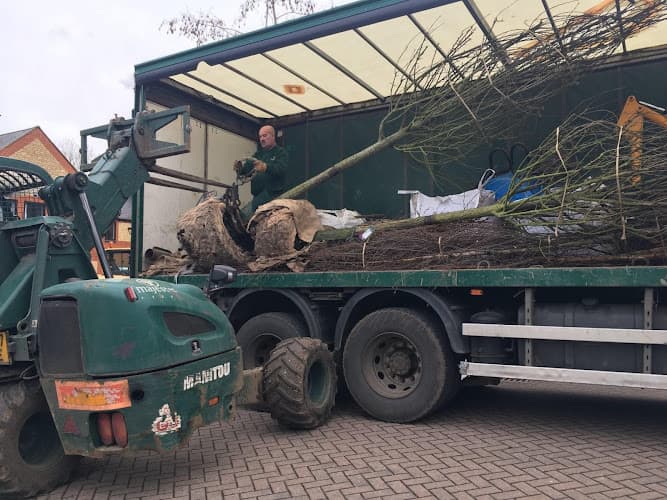 Business listing image