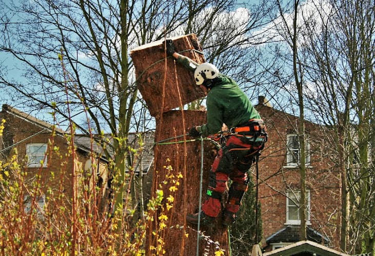 Business listing image