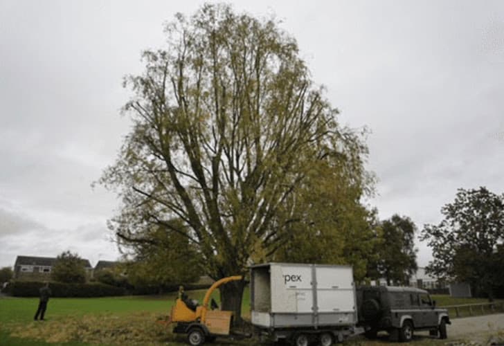 Business listing image