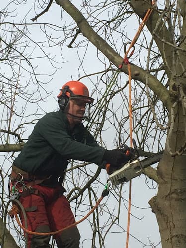 Business listing image