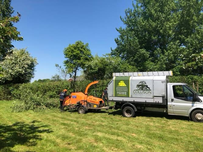 Business listing image