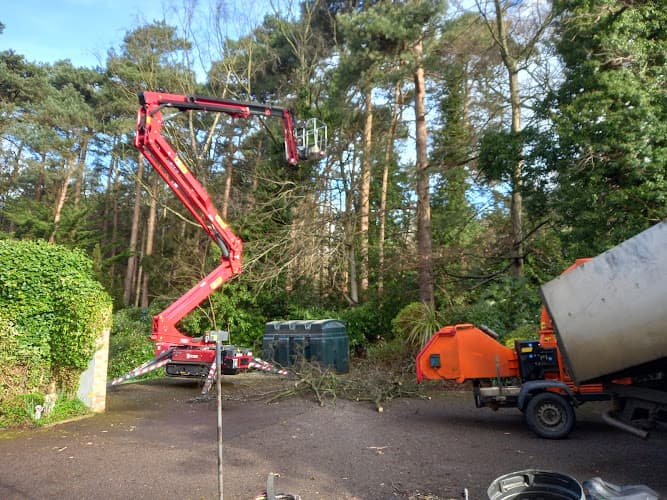 Business listing image