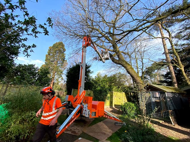 Business listing image