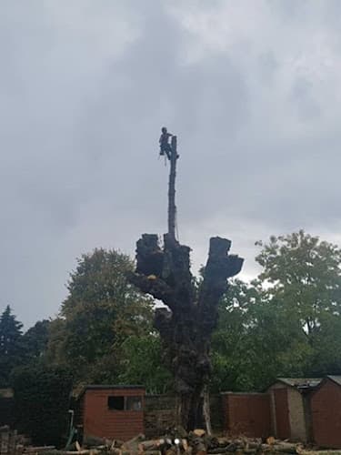 Business listing image