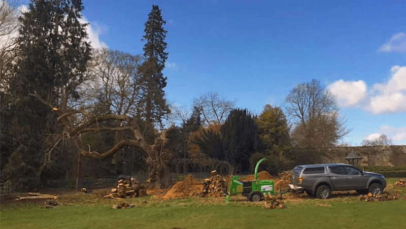 Business listing image