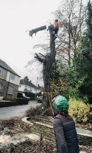 Business listing image