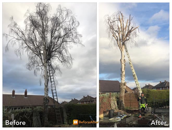 Business listing image