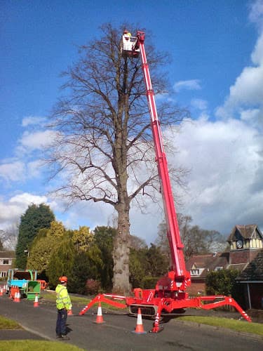 Business listing image