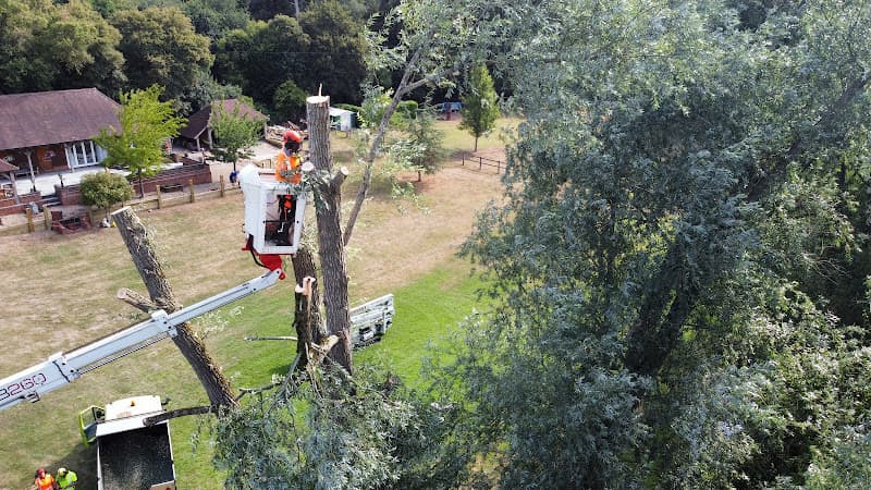 Business listing image