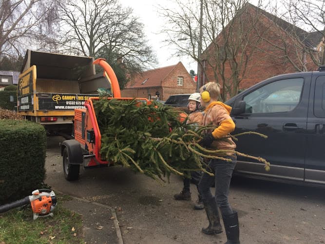 Business listing image