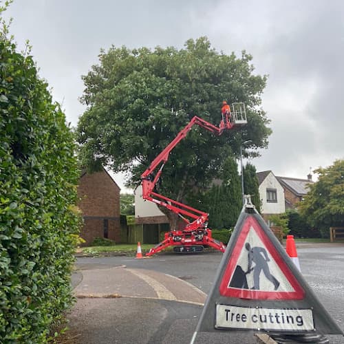 Business listing image