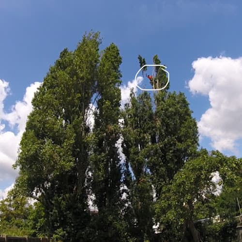 Business listing image