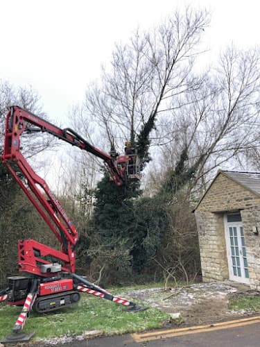 Business listing image