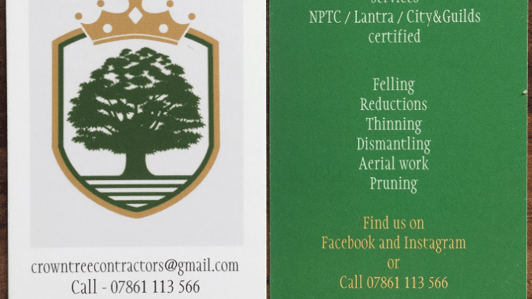 Business listing image