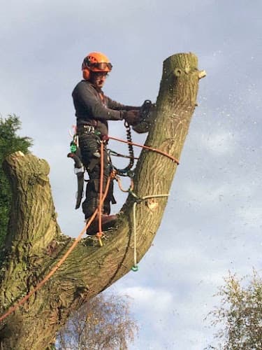 Business listing image