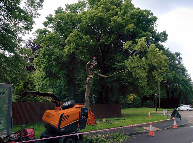 Business listing image