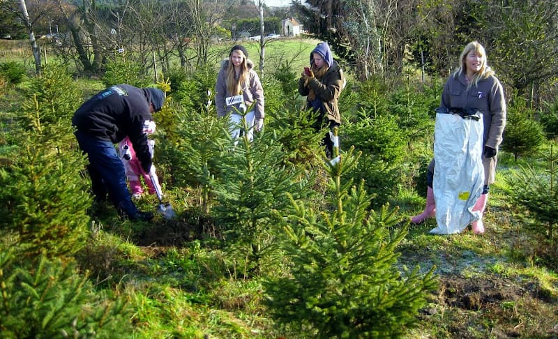 Business listing image