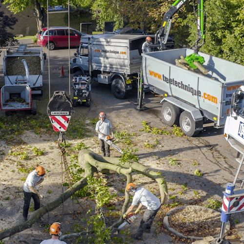 Business listing image