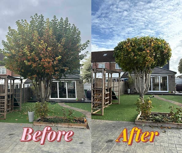 Business listing image